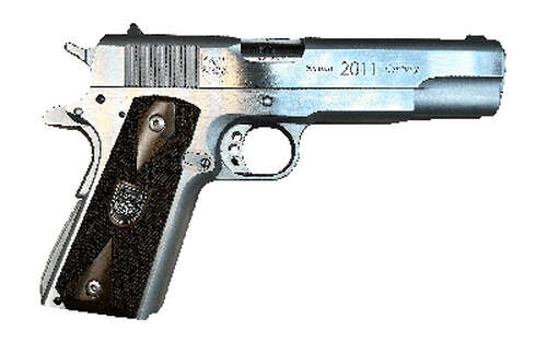 Handguns American Precision Firearms Second Century 45ACP AMPF 1911 2ND CNTRY 45ACP 5" 14RD SS • Model: Second Century